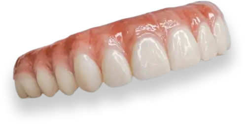 Teeth Image